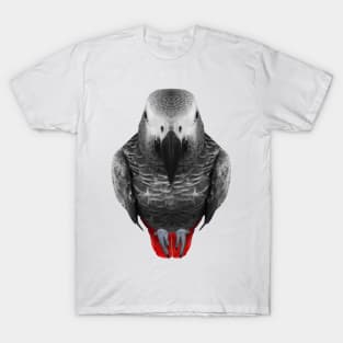 african grey parrot gear T-Shirt